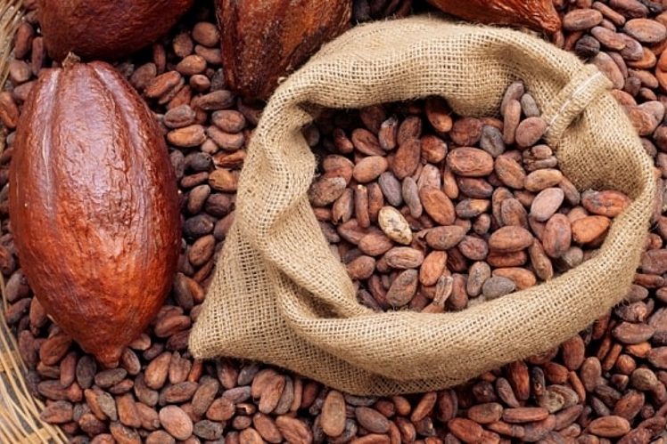 cocoa